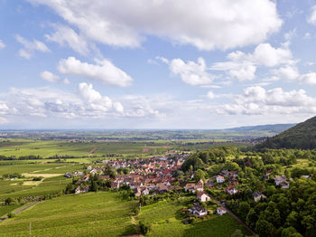 Scenic view of agricultural field against sky