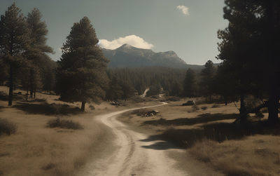 Road amidst trees against sky