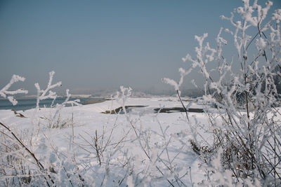 Close-up of frozen lake against clear sky