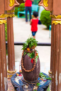 Close-up of potted plant in temple