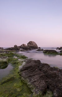 Scenic view of sea against clear sky during sunset