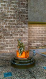 Potted plant against brick wall