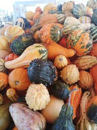 Close-up of pumpkins for sale at market stall