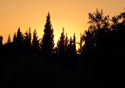 Silhouette trees against sky during sunset