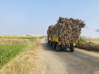 Hay bales on field by road against sky