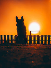 Silhouette dog sitting against sun during sunset