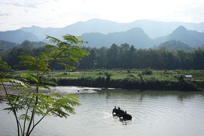 Scenic view of lake against sky
