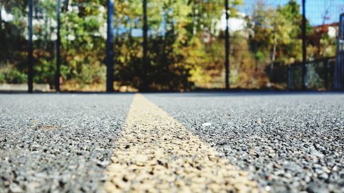 Surface level of road by trees