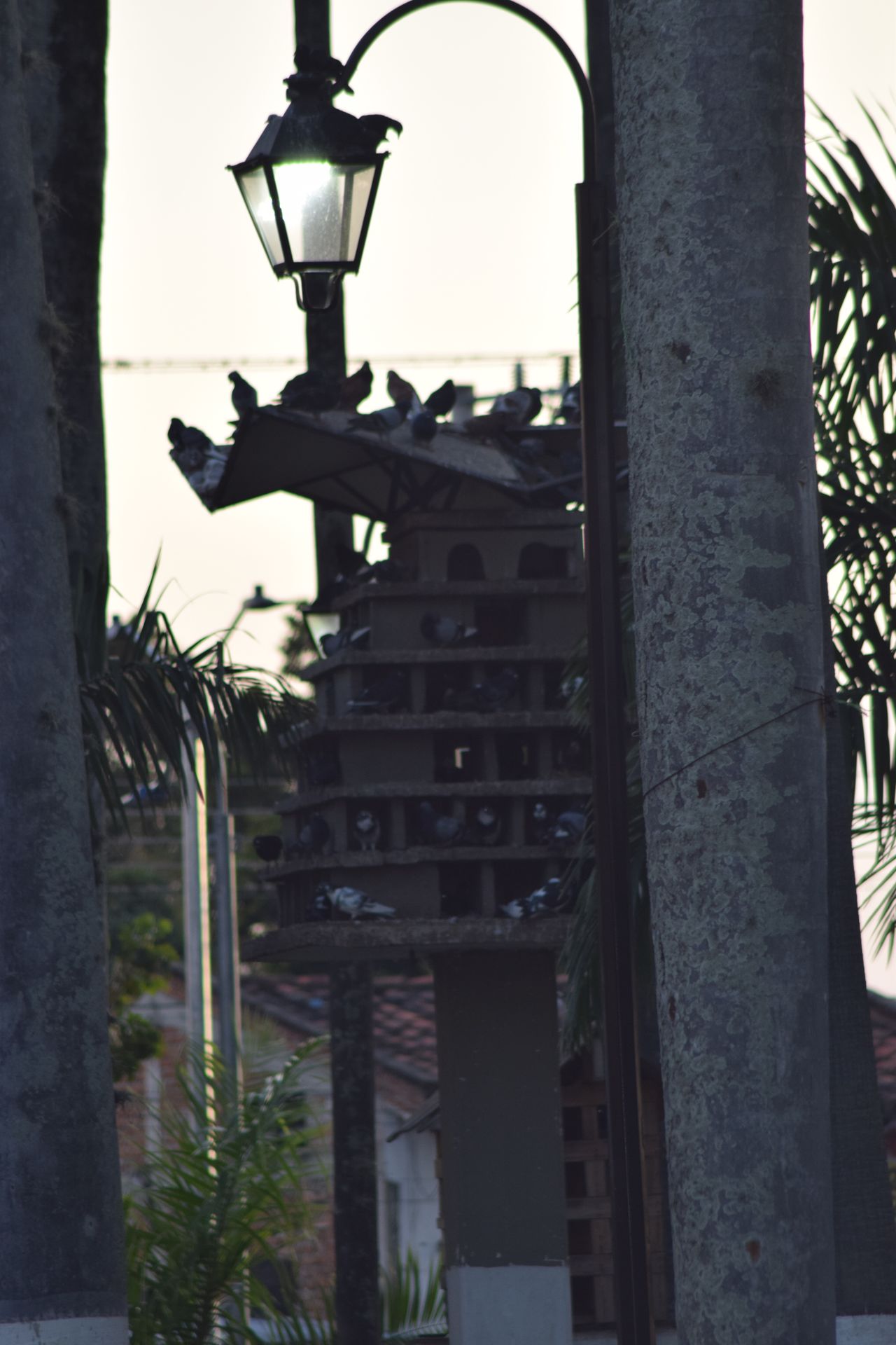 Parque Rada El Cerrito, Valle del Cauca