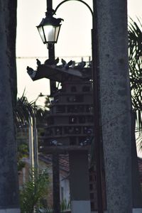 Low angle view of street light and buildings in city