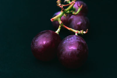 Close-up of fruits against black background