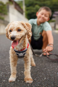 Full length of boy with dog on road