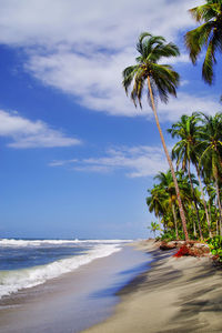 Scenic view of beach and sea against sky