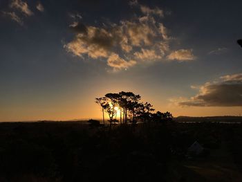 Silhouette trees on landscape against sky during sunset