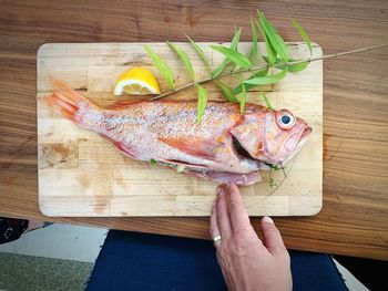 High angle view of fish on cutting board