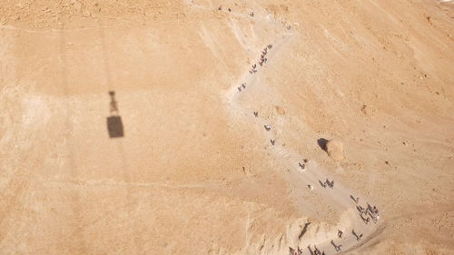 High angle view of people walking at desert