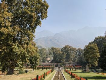 Panoramic view of trees and mountains against sky