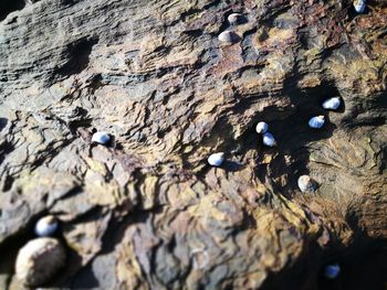 High angle view of rocks in water