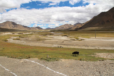 Scenic view of landscape against sky in tibet
