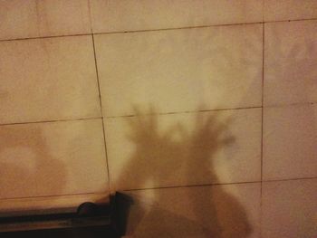 Full frame shot of wall