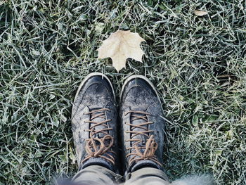 Low section of man standing on ground