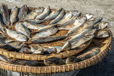 Close-up of fish in basket