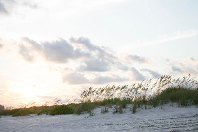 Scenic view of snow covered land against sky during sunset