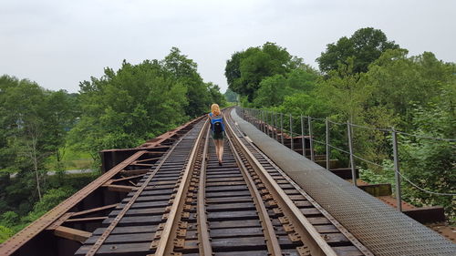 Railroad tracks amidst trees against sky