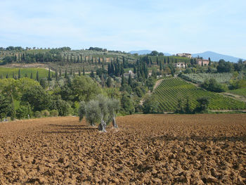 Scenic view of landscape against clear sky