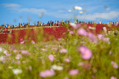 Group of people on field against sky