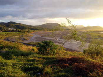 Scenic view of field against sky