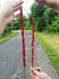 Cropped image of hand holding plant