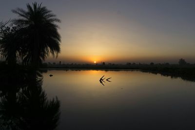 Silhouette trees by lake against sky during sunset