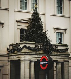 Information sign on tree in city