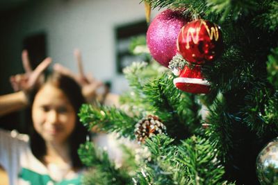 Close-up of christmas tree