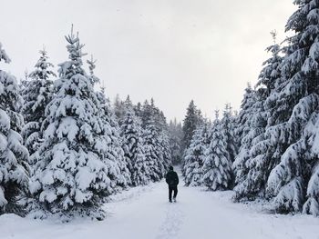 Rear view of person walking on snow covered land