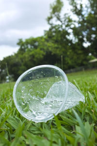 Close-up of raindrops on grass