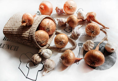 High angle view of shells on table