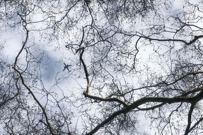 Low angle view of bare tree against sky