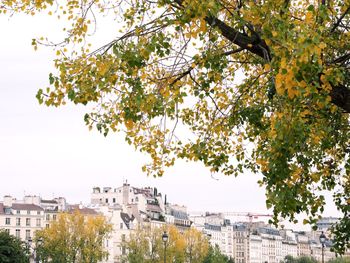 Low angle view of building