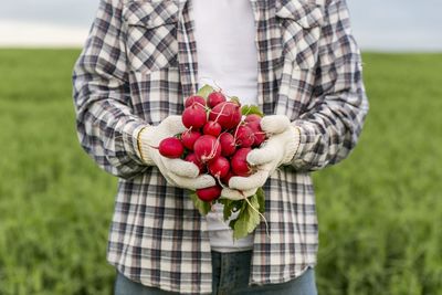 Midsection of woman holding strawberries