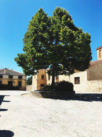 Trees and buildings against blue sky on sunny day