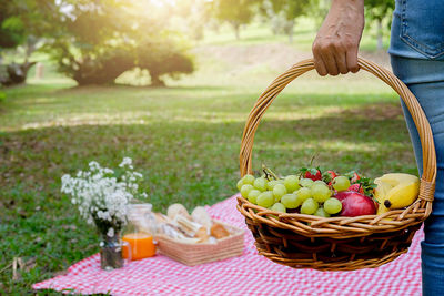 Cropped image of woman holding fruits in wicker basket while standing at park