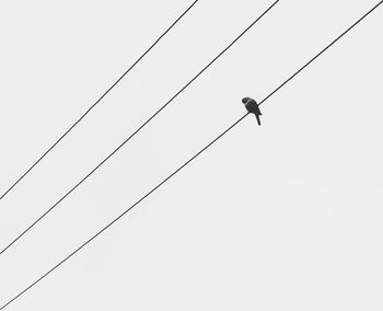 Low angle view of overhead cable car against sky