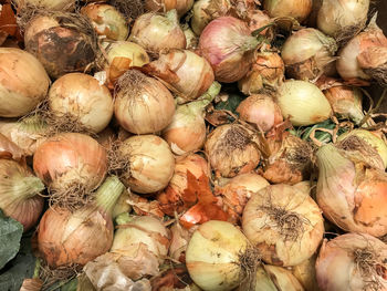 Full frame shot of pumpkins