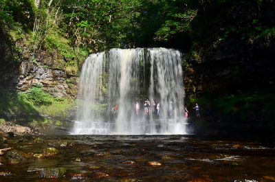 Waterfall in forest