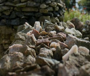 Close-up of rocks