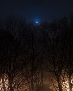 Low angle view of bare trees against sky at night