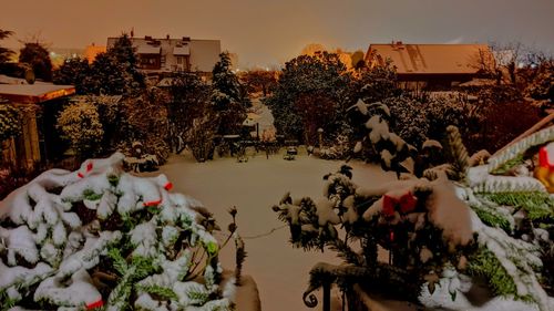 Snow in garden view