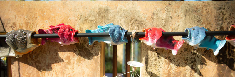 Close-up of clothes drying on clothesline against wall